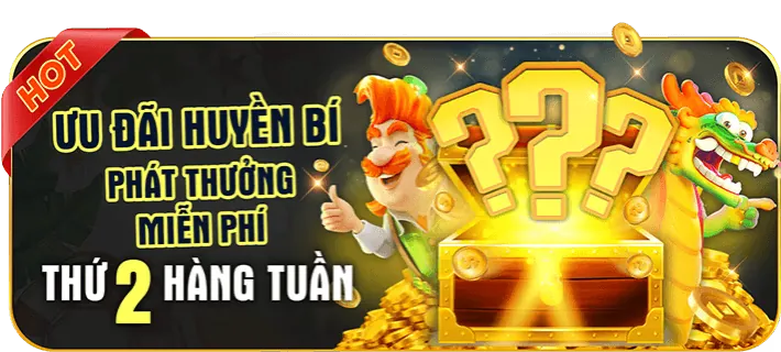 Phản hồi nhanh chóng