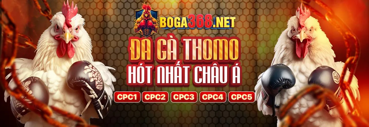 Hình ảnh minh họa truy cập trang chủ fv99 app chính thức